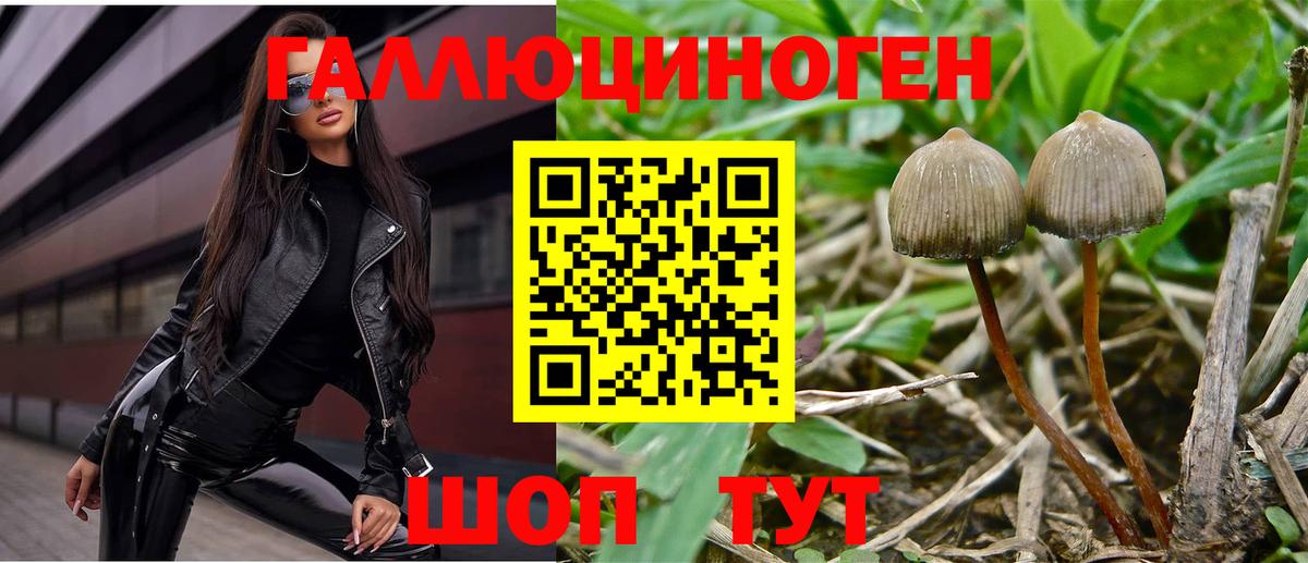 Псилоцибиновые грибы GOLDEN TEACHER Первоуральск